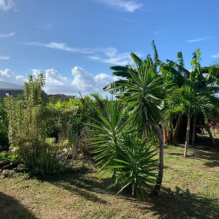 Gite Face A La Mer Des Caraibes Sainte-Rose Bagian luar foto