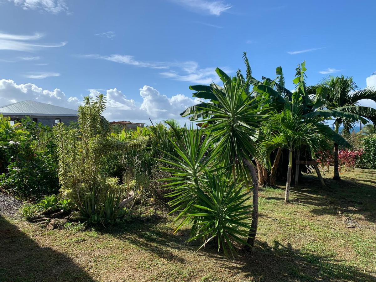 Gite Face A La Mer Des Caraibes Sainte-Rose Bagian luar foto